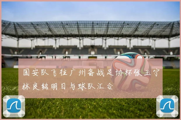 国安队飞往广州备战足协杯张玉宁林良铭明日与球队汇合